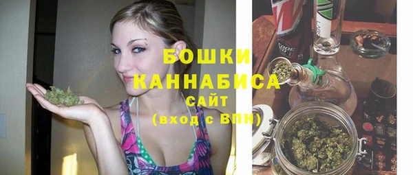 spice Богданович