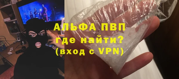 spice Богданович