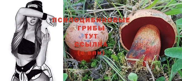 МДПВ Богородицк