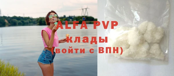 spice Богданович