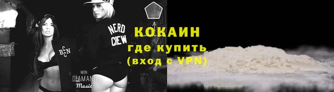spice Богданович