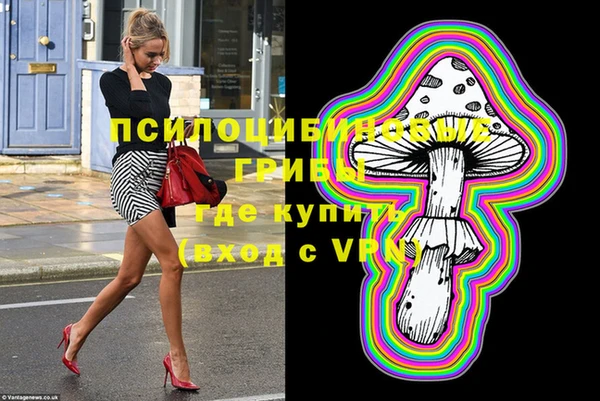 spice Богданович