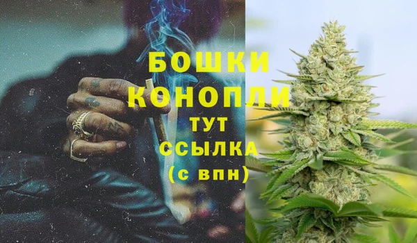 spice Богданович