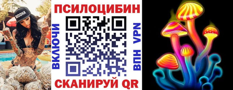 цены   Михайлов  kraken   Галлюциногенные грибы мицелий 
